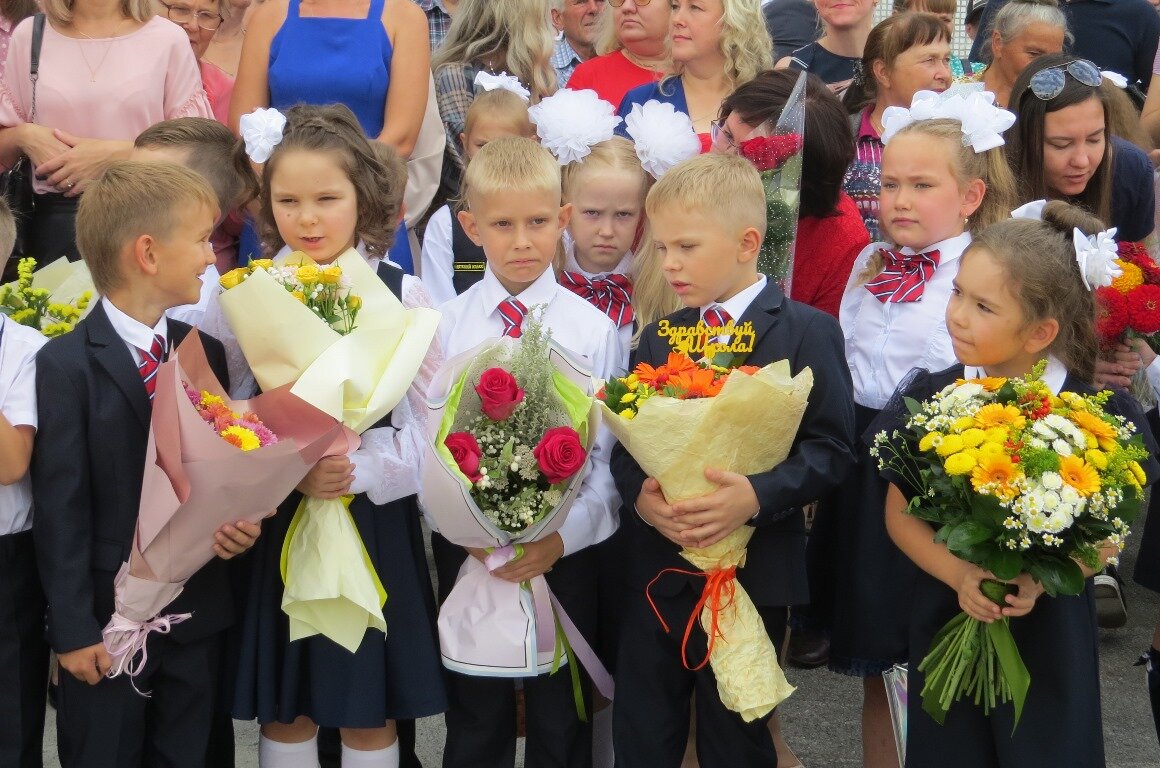 Как записать ребёнка в школу - инструкция | Беседа Онлайн | Дзен