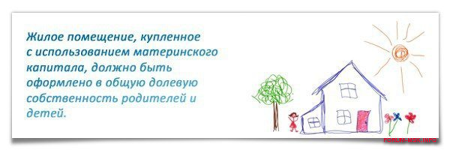 Не выделять долю мужу материнский капитал. Материнский капитал выделение долей. Доли детям по материнскому капиталу. Выделение долей детям при использовании материнского капитала. Выделить доли детям.