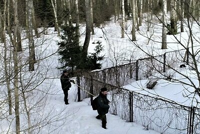    Самовольный захват земель лесного фонда в Чехове © Пресс-служба Комитета лесного хозяйства Московской области