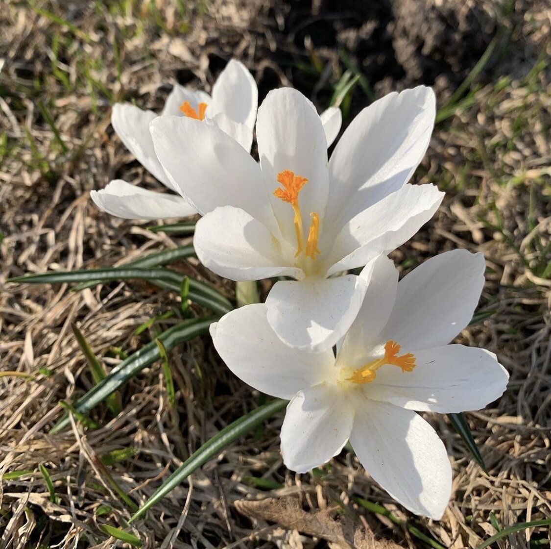 Фото из личного архива