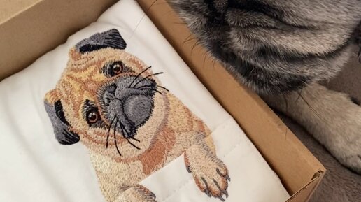 Yu Norm Psy | vkarmane.store сделали мне вот такую крутую футболку ...