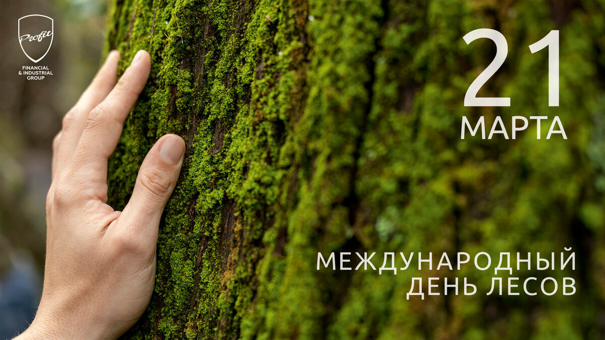Сообщение о международном дне лесов