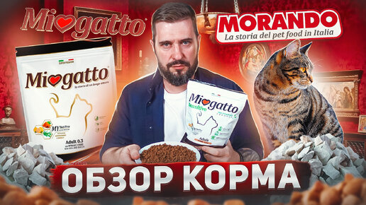 Зачем в корме цеолит? | MIOGATTO итальянский сухой корм для кошек | Обзор корма | Состав корма и дегустация