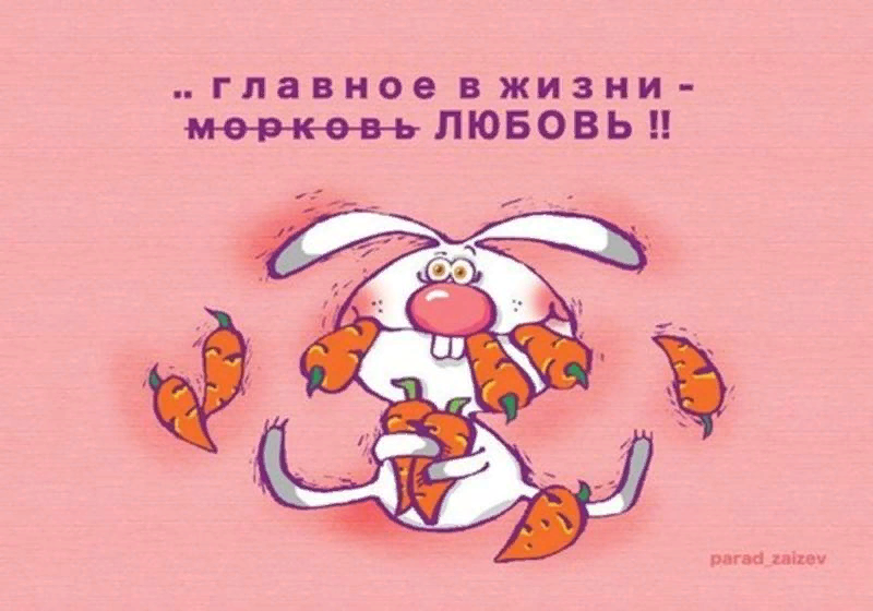 фото из свободных источников