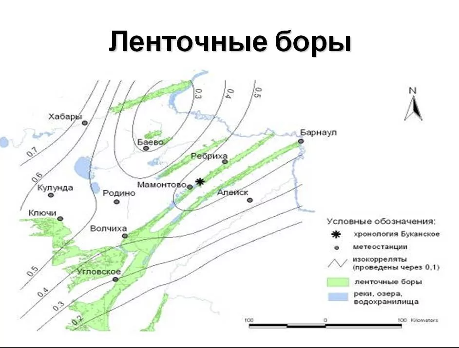 Барнаул ленточный бор карта