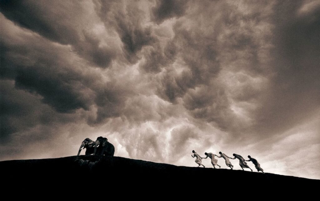     Фото: Gregory Colbert