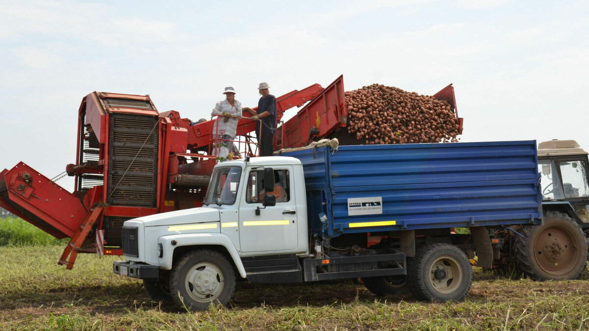     В Ростовской области на складах осталось большое количество урожая, собранного еще в прошлом году, сообщил первый замглавы региона Виктор Гончаров.