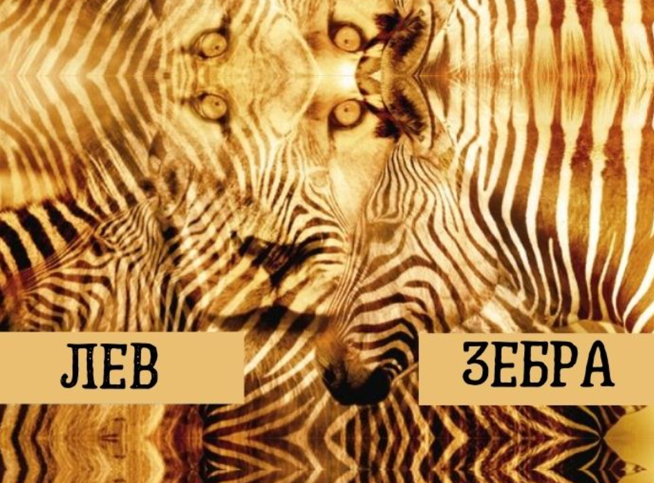 Фото из открытого источника