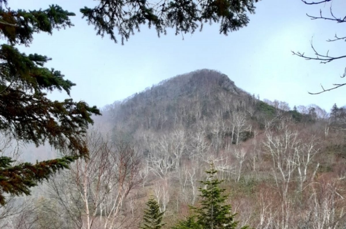    Приморцы смогут слетать на Сахалин в майские праздники всего за 6000 рублей