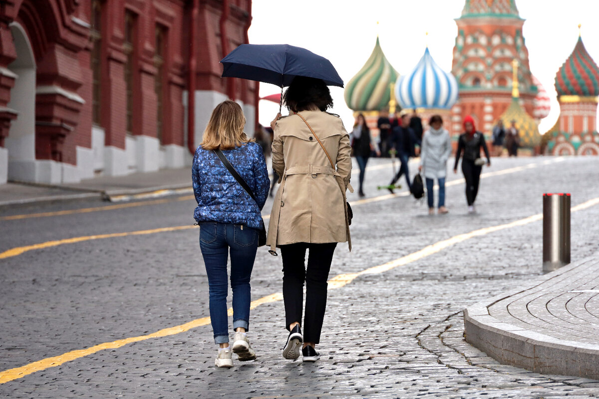   Фото: istockphoto.com/Oleg Elkov