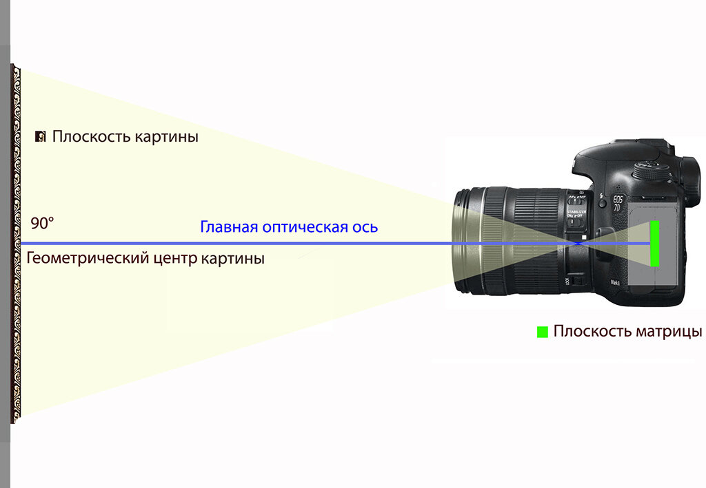 Коллаж автора статьи.