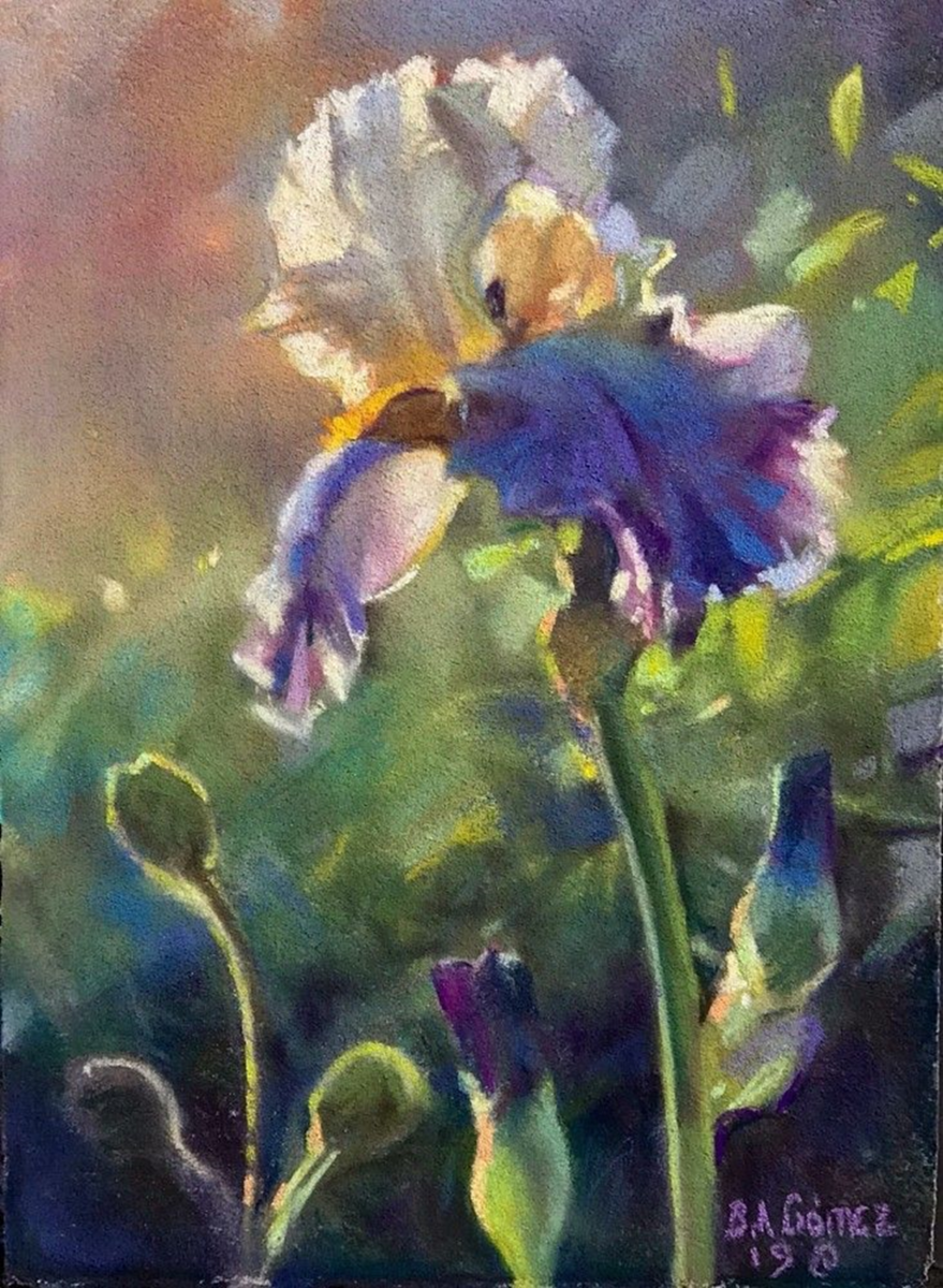 Bruce A Gómez. Пастель. https://ru.pinterest.com/pin/140667188349580755/?nic_v3=1a2bTro0I