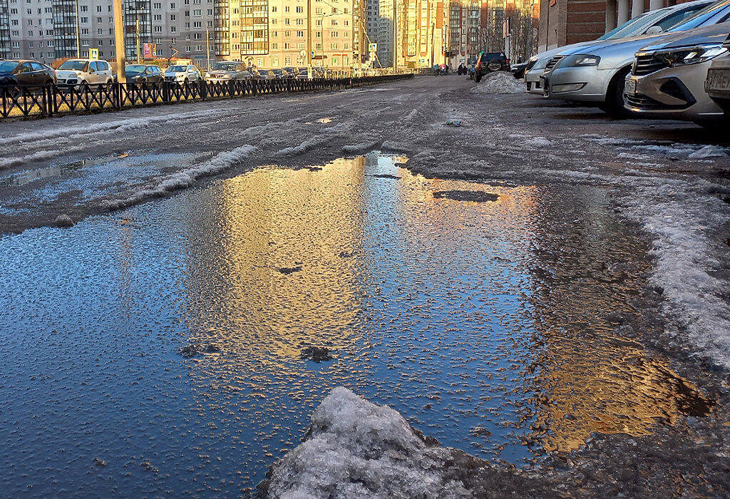 Живописная городская лужа