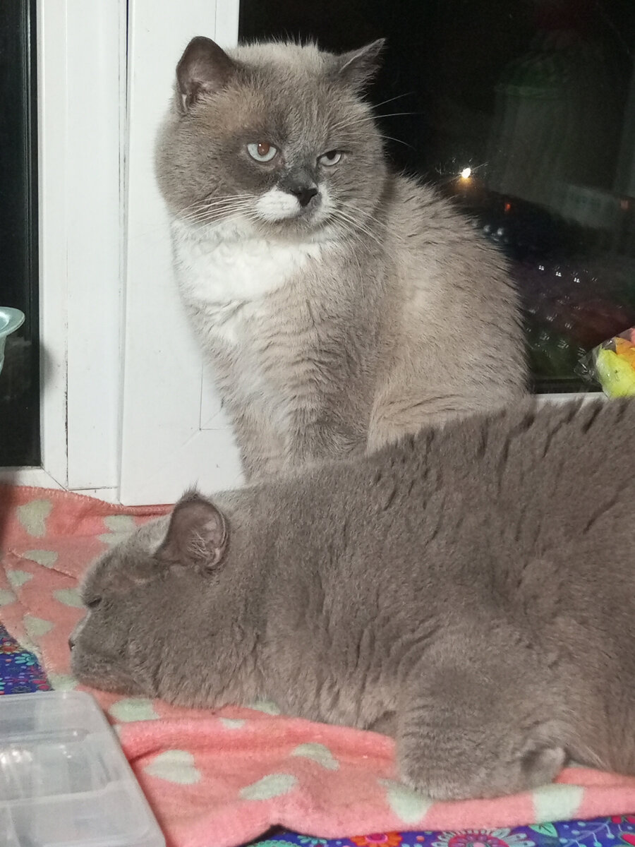 Симон Марсович, прошу любить и уважать