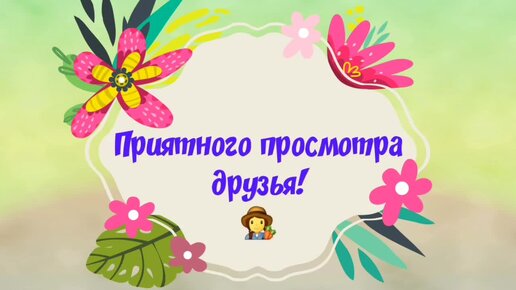 832. Омолаживать смородину просто необходимо!