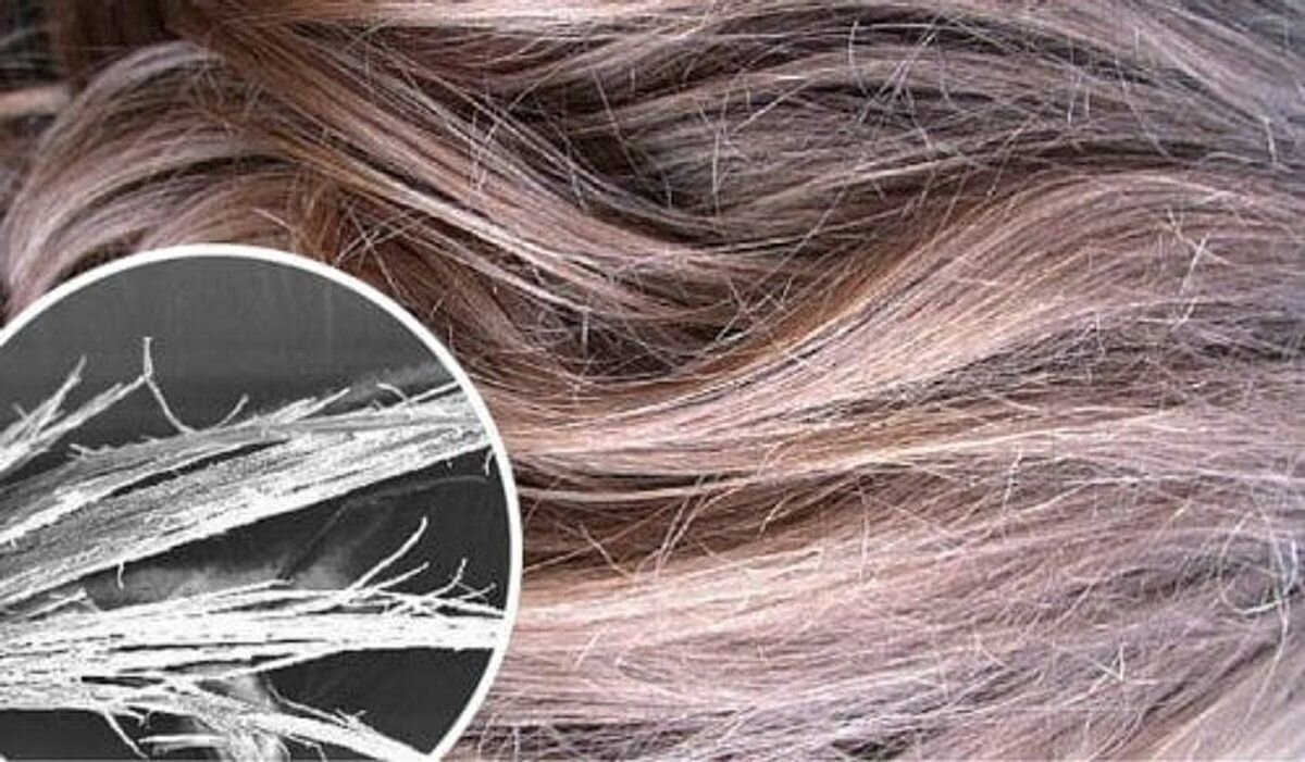 Восстановить поврежденные волосы отзывы. Узловатая трихоклазия. Узелковая трихоклазия. Поврежденные волосы. Секущиеся кончики волос.
