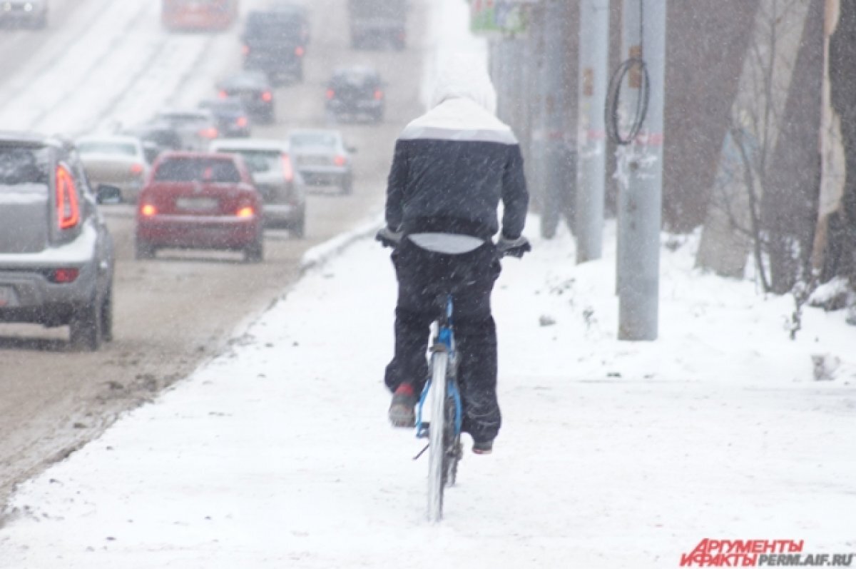    В Пермском крае 28 февраля ожидаются метель и ветер до 20 метров в секунду