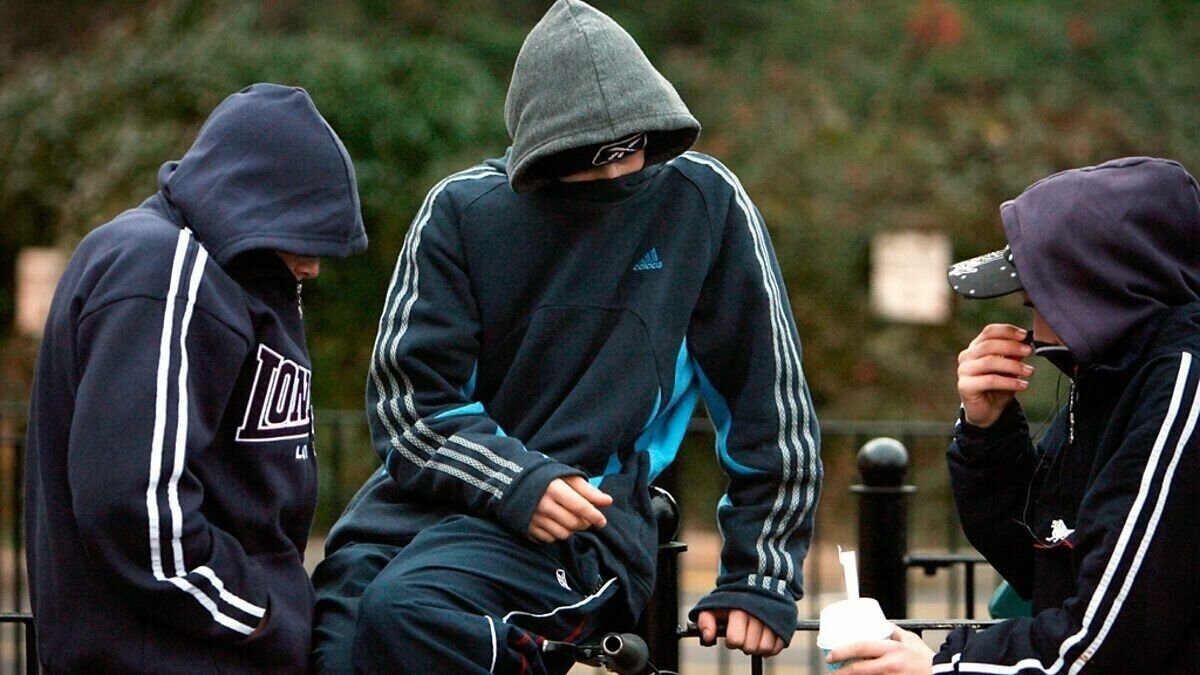     Юристы предупреждают, что снижение возраста членов неформальных молодежных организаций грозит стране социальной катастрофой.