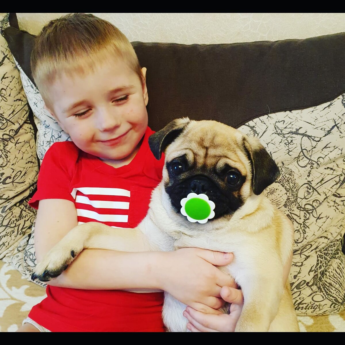 Меня здесь очень любят 🤗🐶