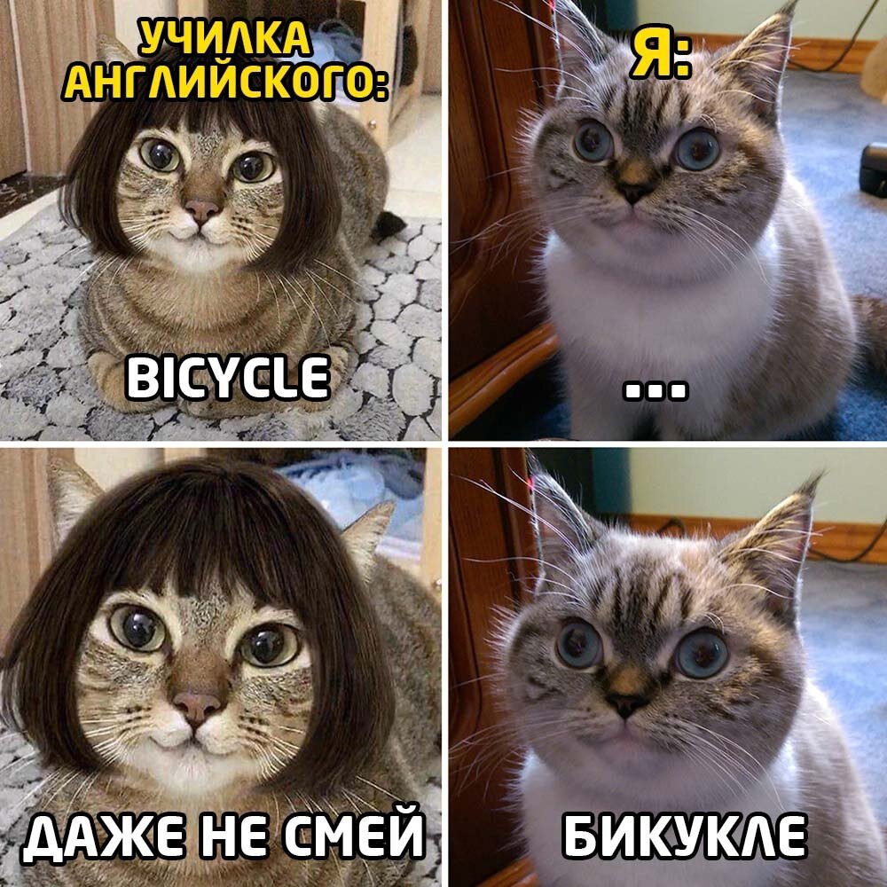 Не смей картинка