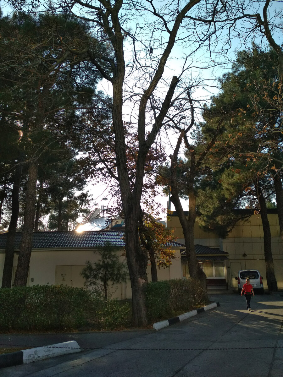 Вот такая красота!