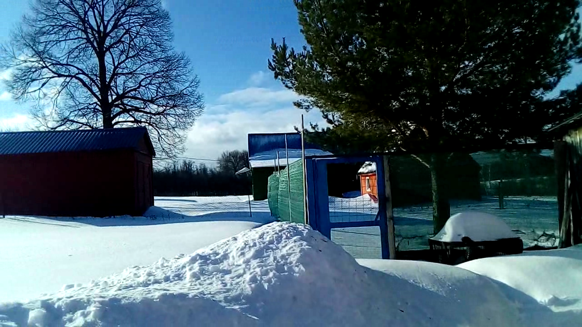 Вот такое красивое утро в деревне. (листать)