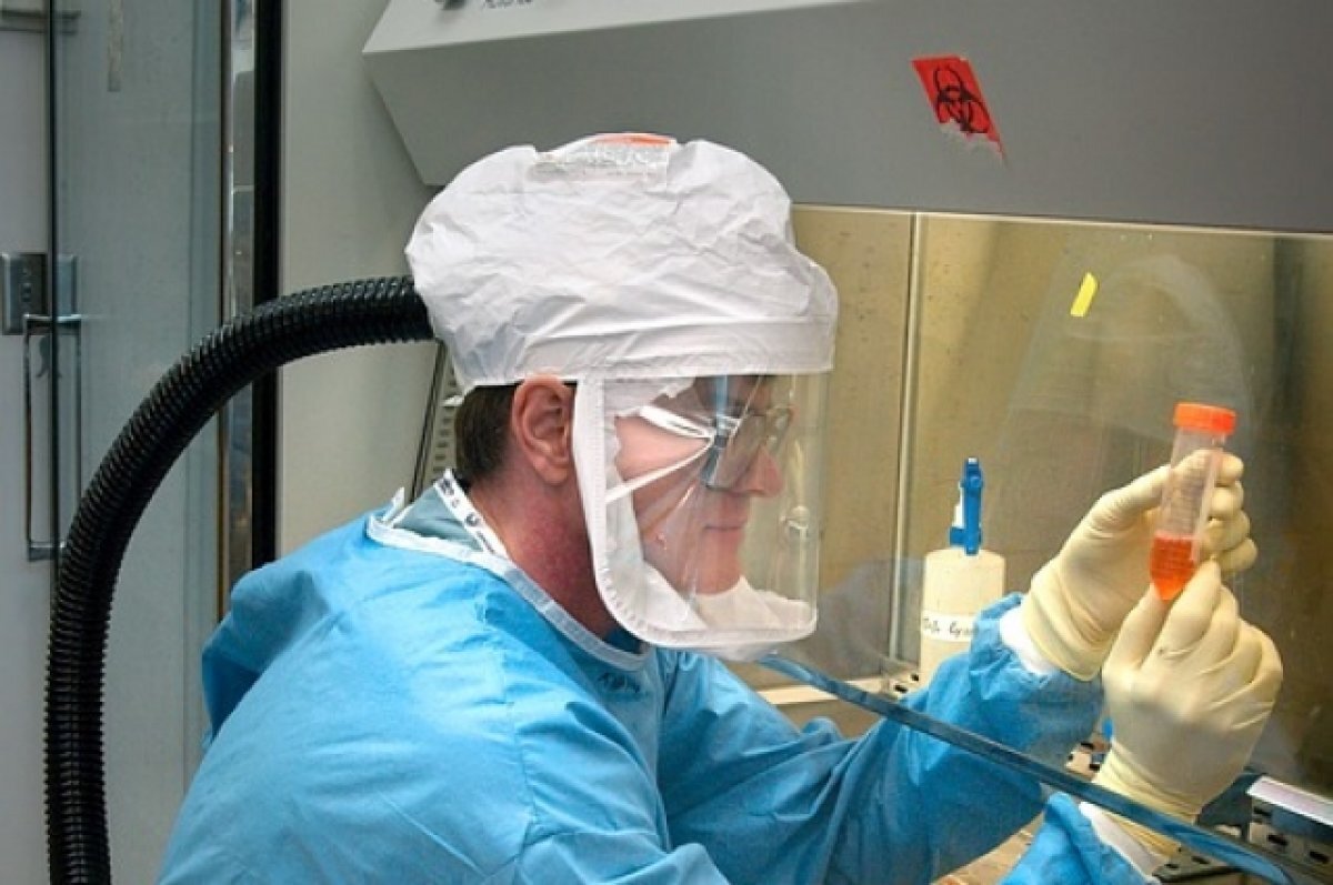    Есть ли лихорадка Марбурга в Томске: ответ Роспотребнадзора