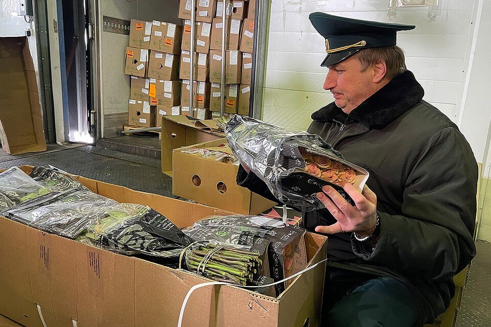     Журналистам показали работу таможенников в преддверии самого цветочного праздника года. Александр РОГОЗА