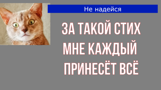 Порно видео Чате переписка русское. Смотреть Чате переписка русское онлайн