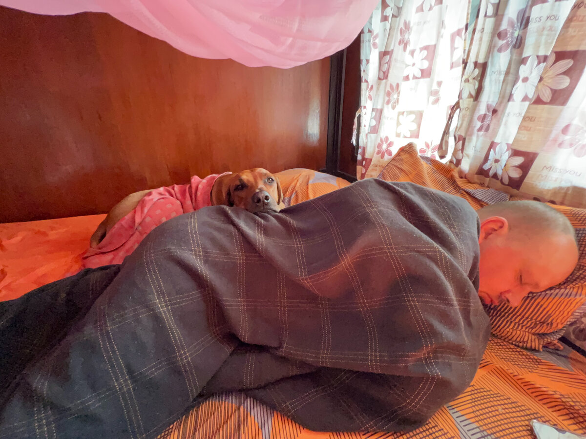 В Таиланде мы провели 3 месяца, намотали более 4 тыс км на скутере с прицепом. Хочется подытожить. Мы тут не первый раз много колесили и до этого без собаки, на скутере и на своих двоих.-13