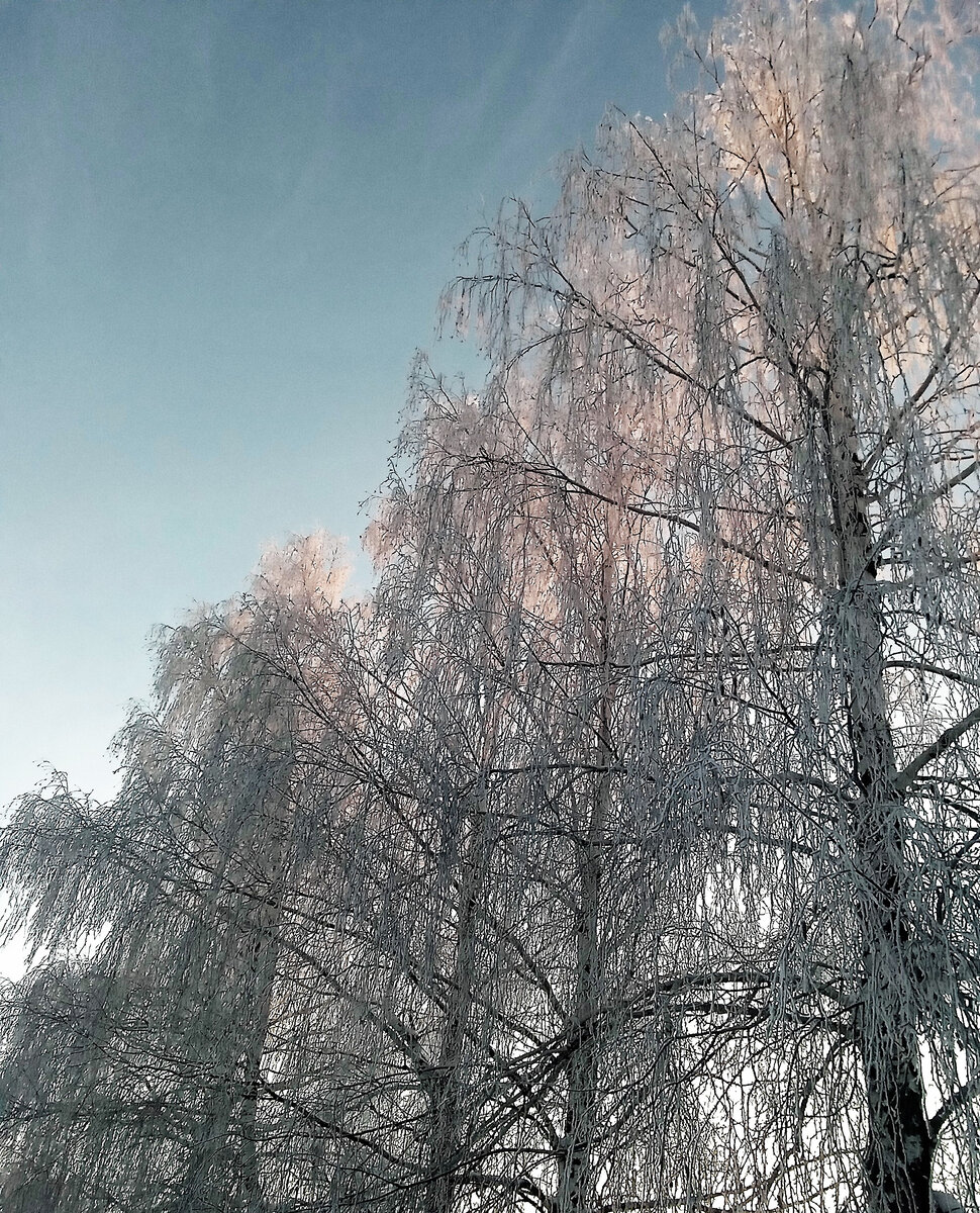 Две сестры в одной кровати