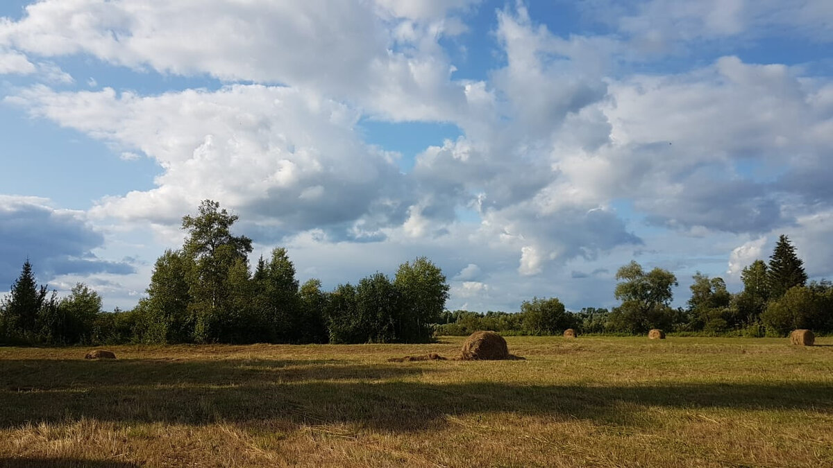 мое фото. Покос.