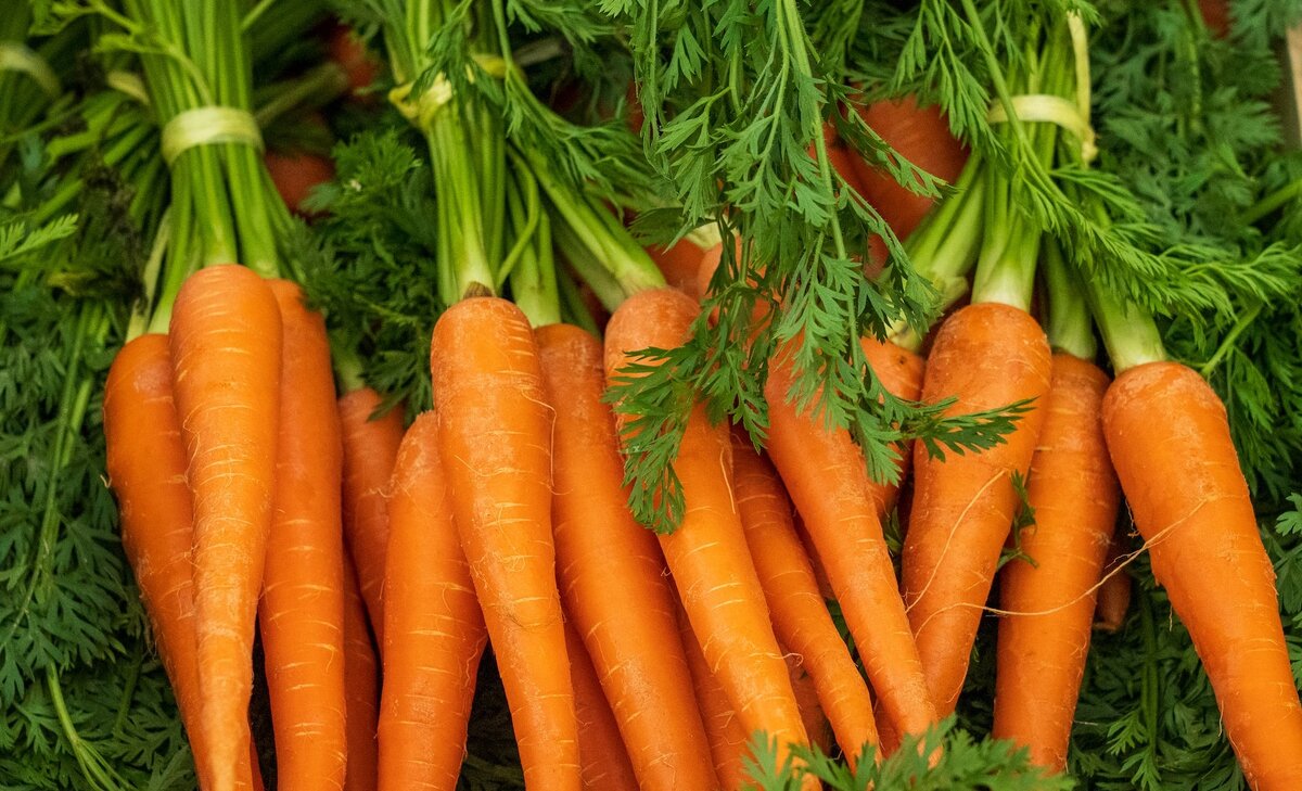 Image Credit: Nick Fewings | unsplash.com/@jannerboy62