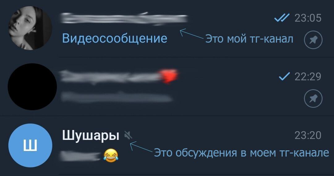 Сверху мой тг-канал, а снизу "Шушары"-частное обсуждение, привязанное к моему каналу, чтобы были комментарии.