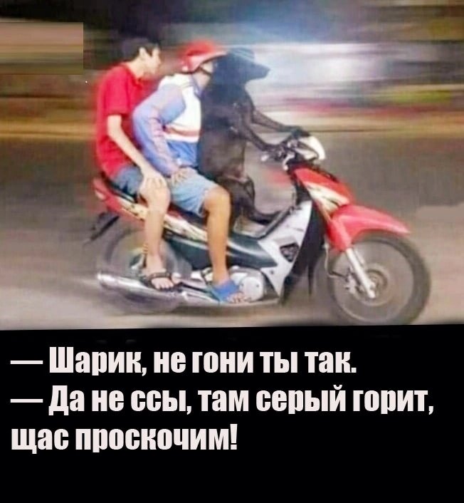 Посмеялся сам - поделись с другом!!!