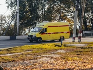    Фото: unsplash.com Маргарита Пименова
