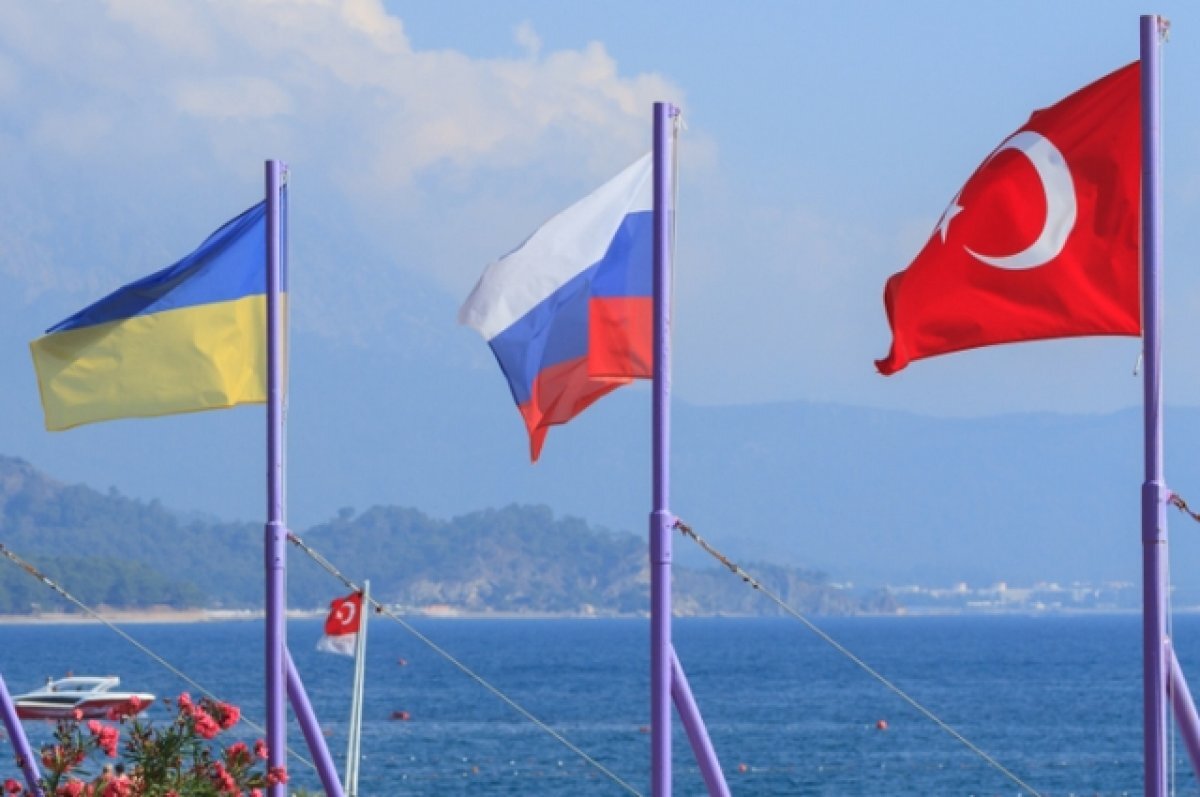    Толк от торга. Анкара приготовила для Киева и Москвы кнуты и пряники