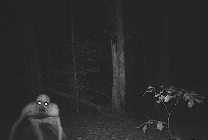 Материал взят с сайта steamcommunity.com