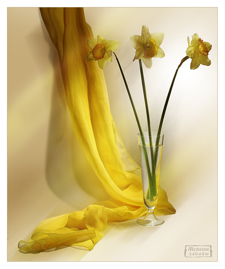 Нарциссы 