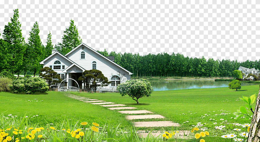 фото из открытых источников интернета