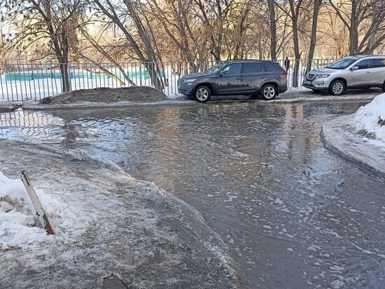     Под водой скрывается лед / Елена Анифатьева