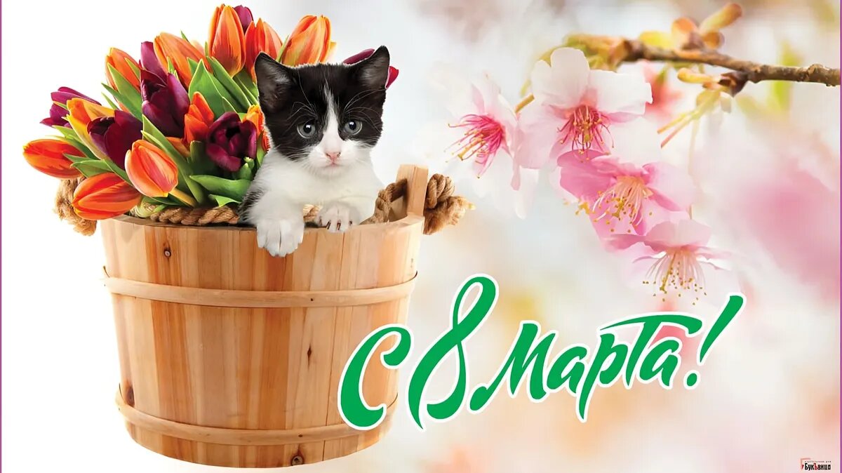 к 8 марта поздравления текст песни