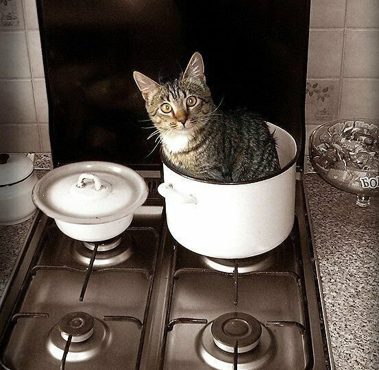 Что здесь происходит. 15 смешных и необычных фотографий, на которых люди творят безумные вещи