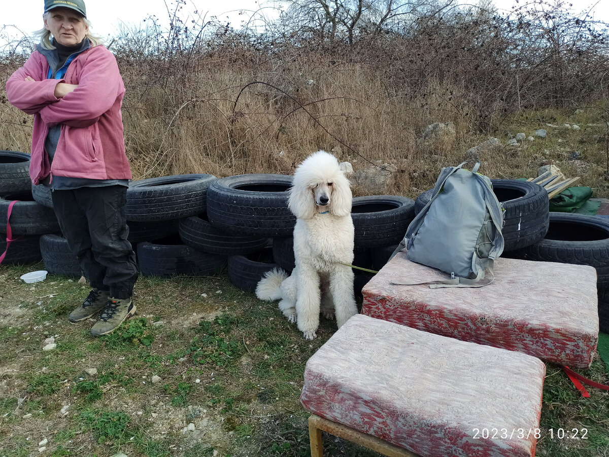 Тим и Ирина, парочка научных сотрудников музея Херсонес Таврический