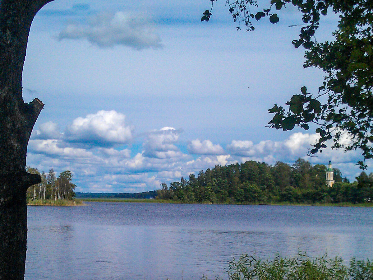 Июль 2012. Вид со стороны деревни Заречье на колокольню Успенской церкви в Никола Рожке