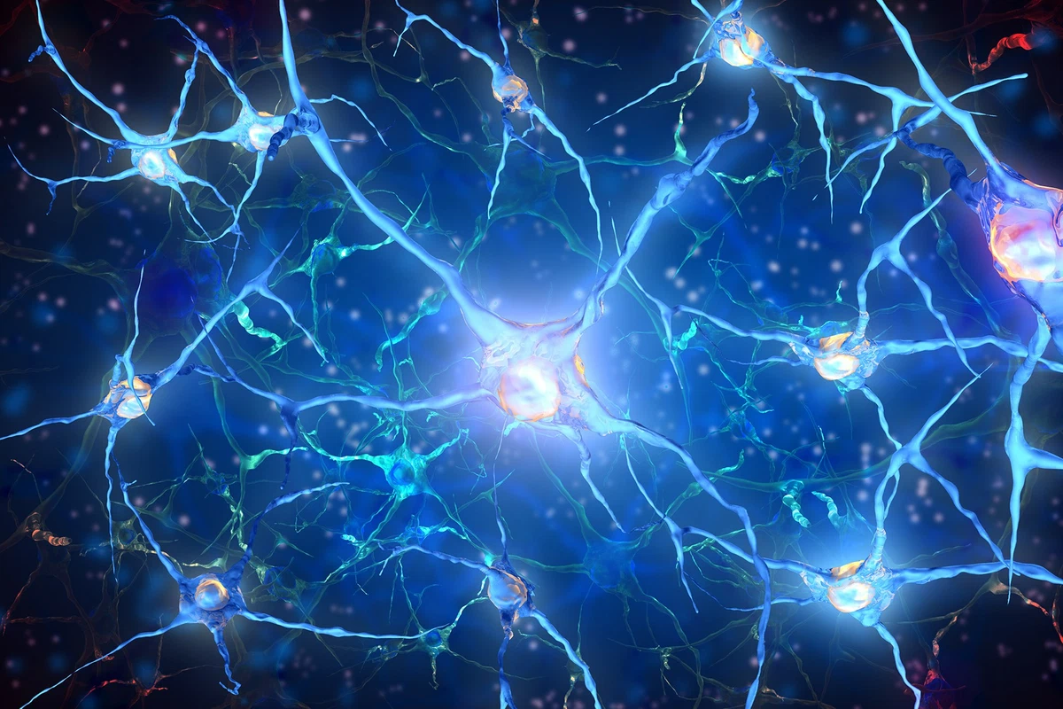 Neural network image. Нейроны. Нейронные связи. Нейроны мозга. Нейронные связи в мозге