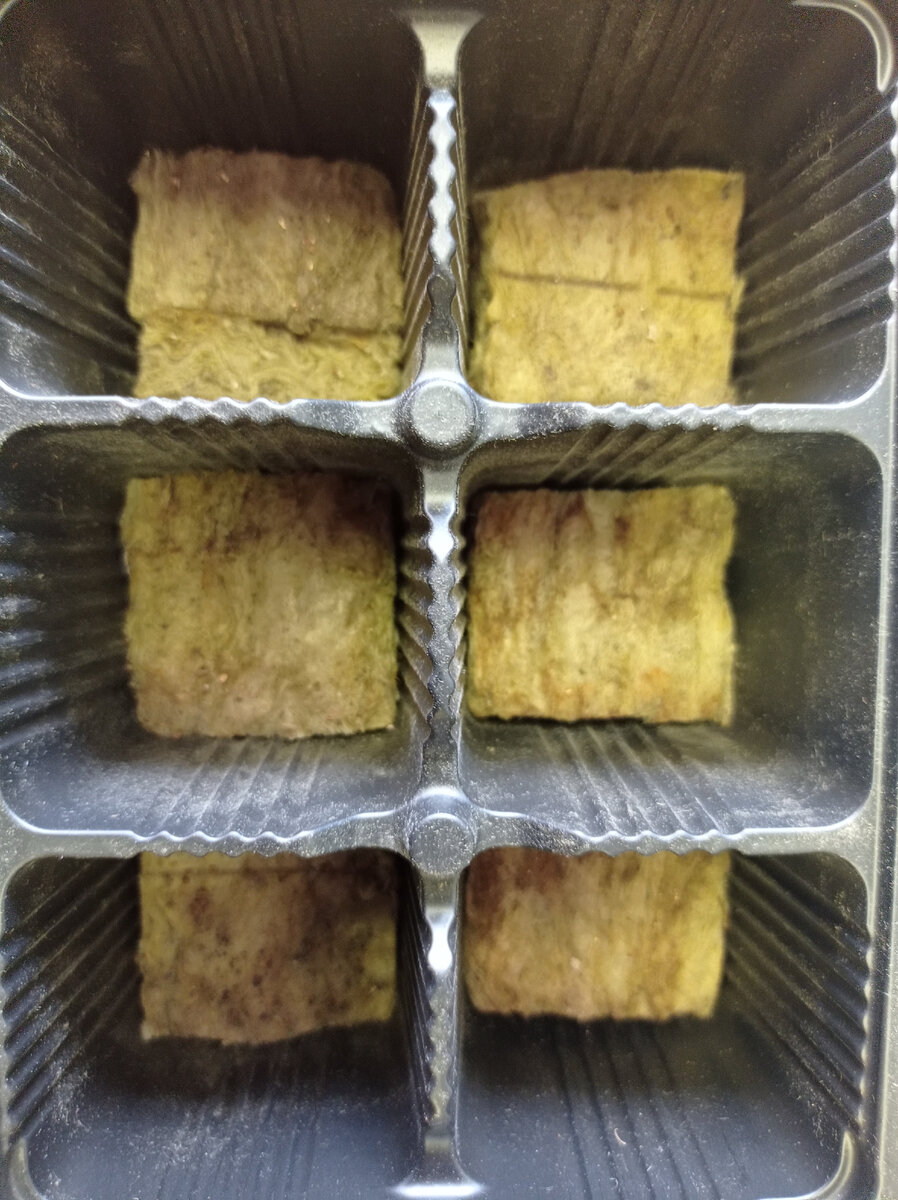 Агровата а в кассете под рассаду