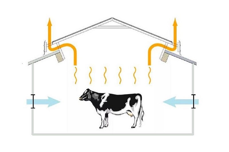 Вентиляция в сарае: особенности микроклимата, обустройство, монтаж