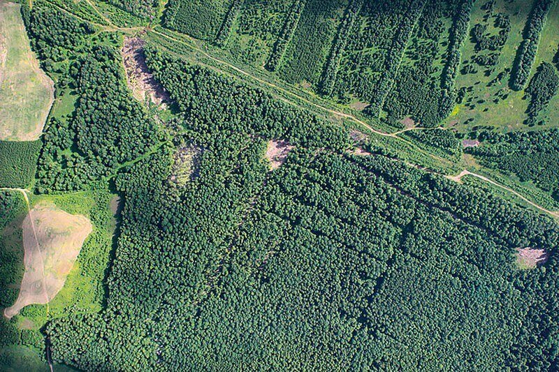    Фото: moyaokruga.ru