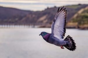    Фото: unsplash.com Ирина Моргунова